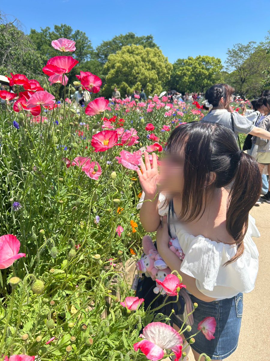 真城 tweet media