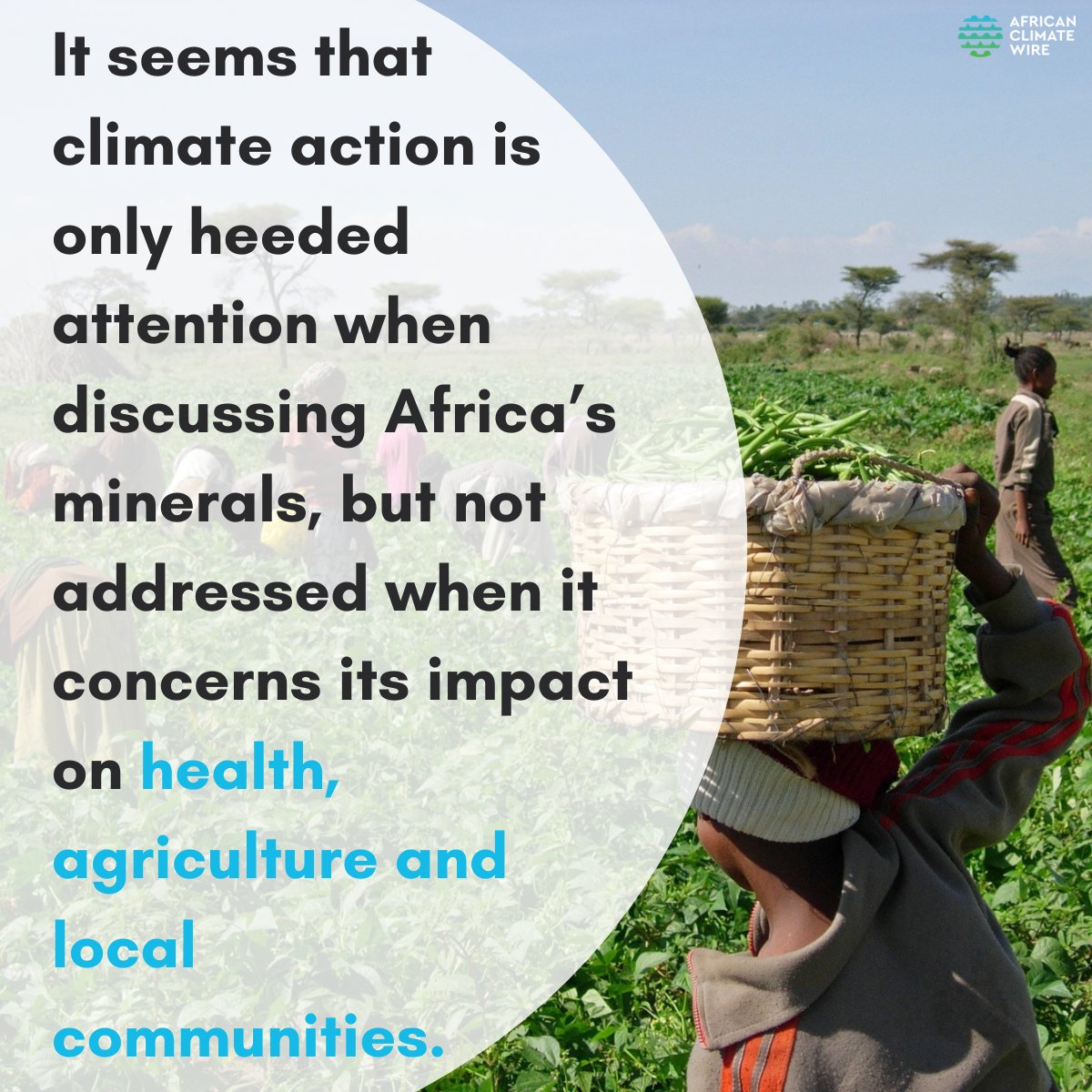 African Climate Wire tweet media