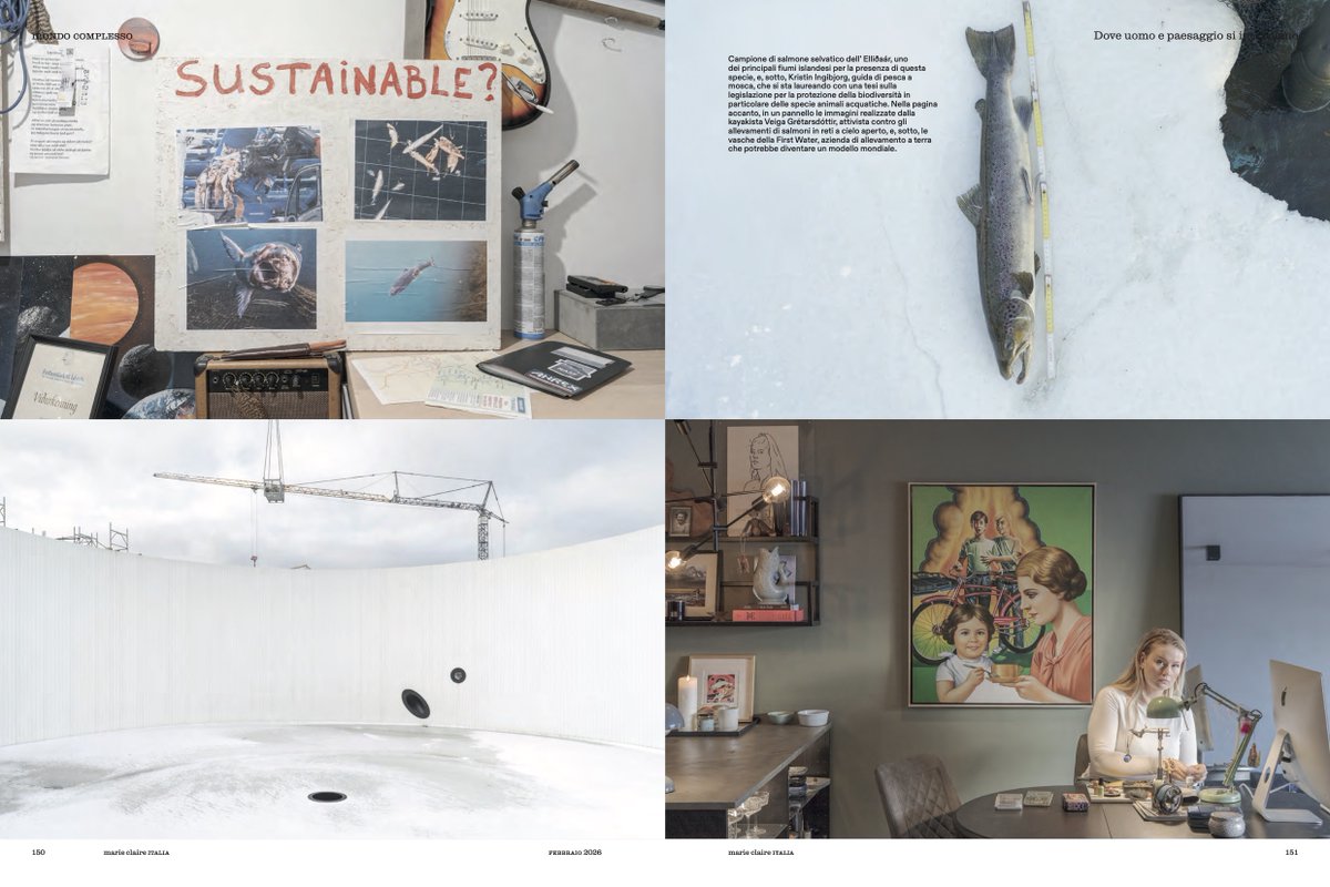 schirragiraldi's tweet photo. the art SALMON AND SALMON on @MarieClaire_it  – feb issue 

ORO ROSA – In Islanda i salmoni selvaggi sono differenti da fiume a fiume. Un inestimabile patrimonio di biodiversità minacciato dalle specie geneticamente modificate per l’acquacoltura. https://t.co/J60868ImP1