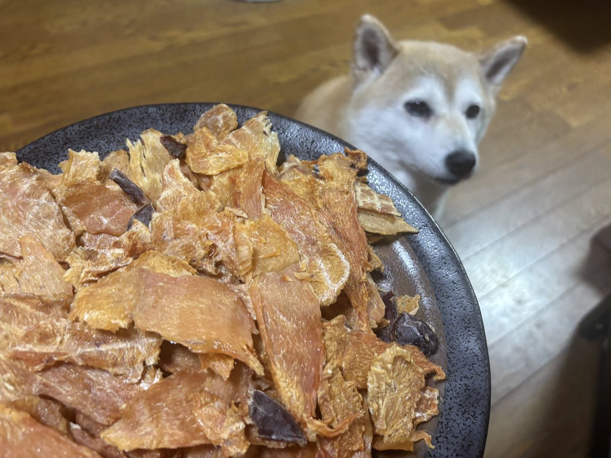 みさ tweet media