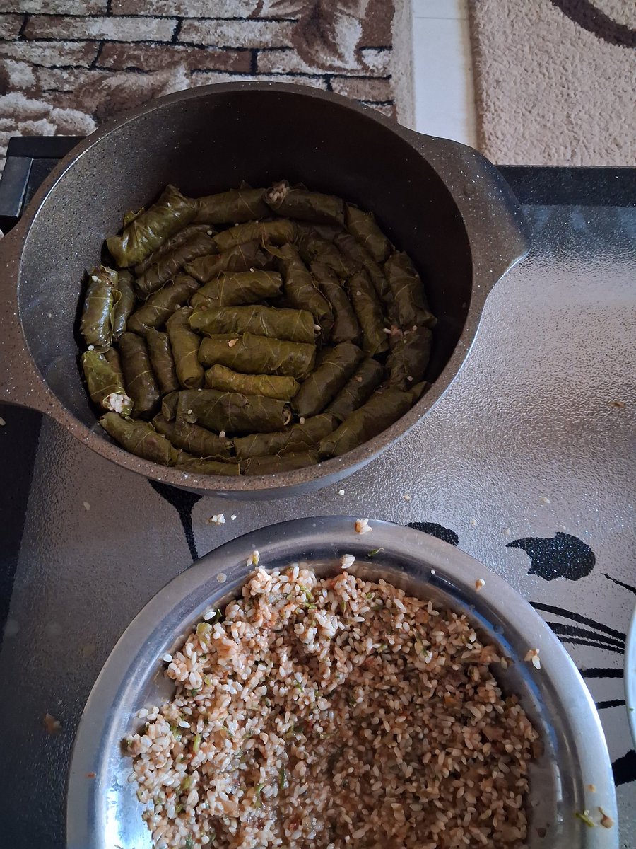 ازيك يا خالتو 
الحمد لله لفيلي شوية المحشي دول