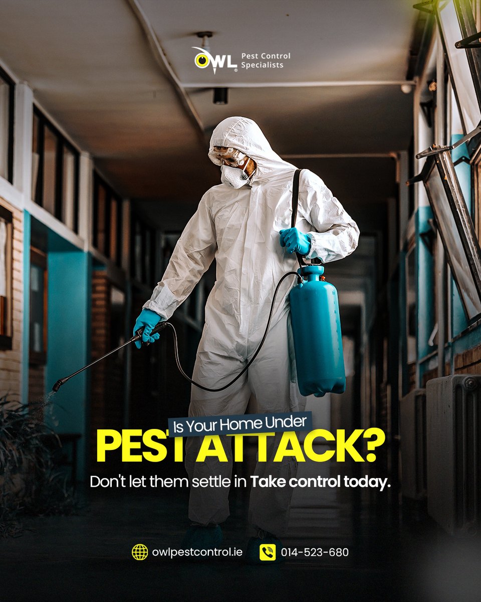 Owl Pest Control Dublin tweet media