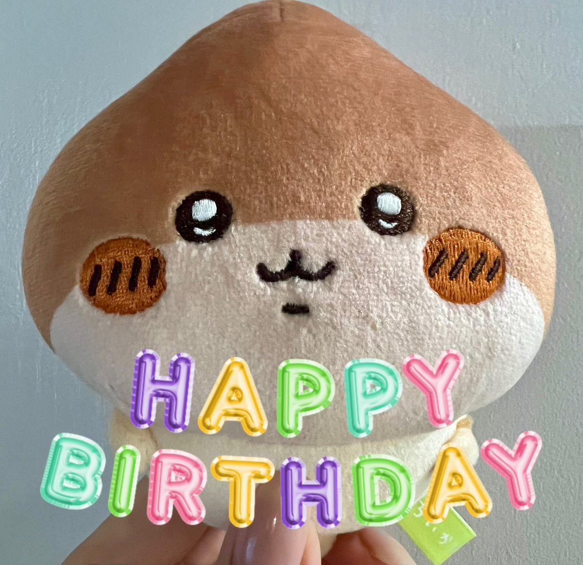 ❤️🌰Happy Birthday🌰❤️