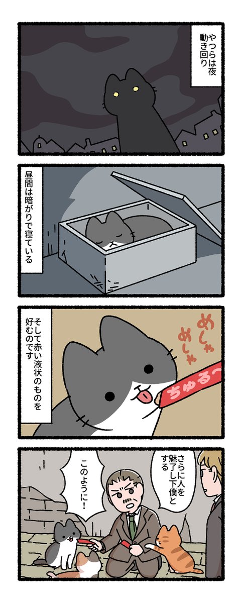 怪奇物語と猫（1/2）