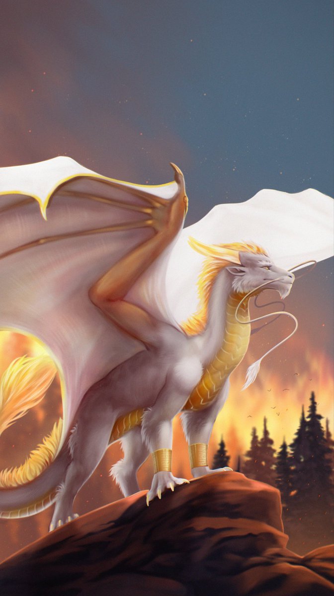 Sombra Gold Dragon tweet media