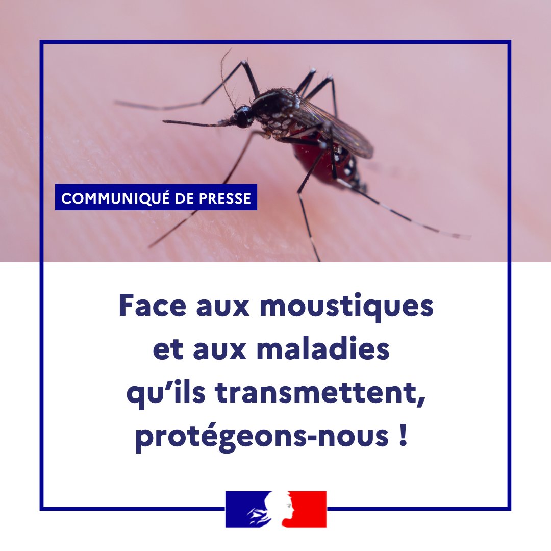 Ministère de la Santé tweet media