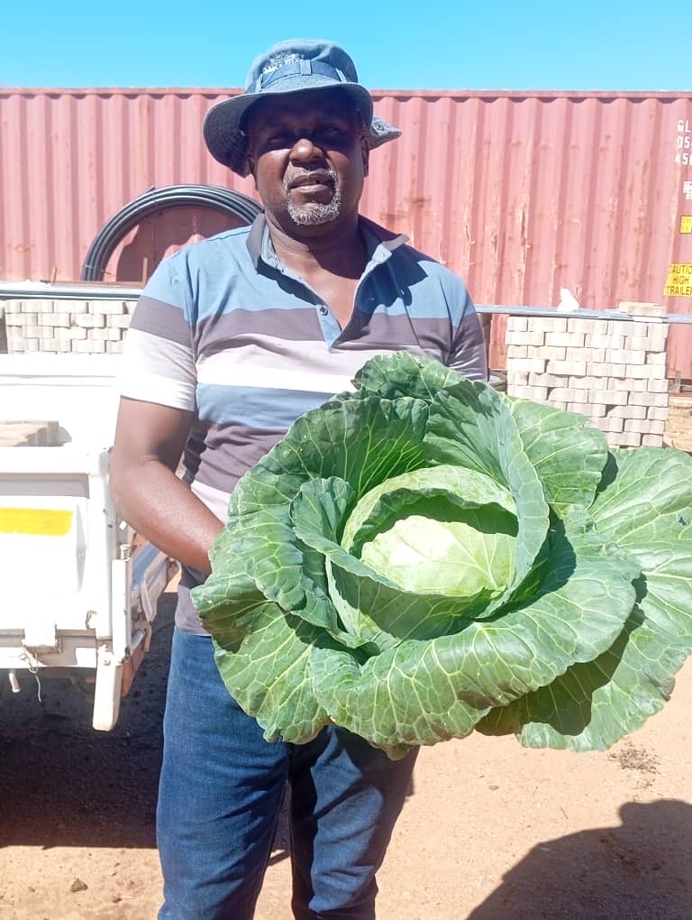 Seed Co Botswana tweet media