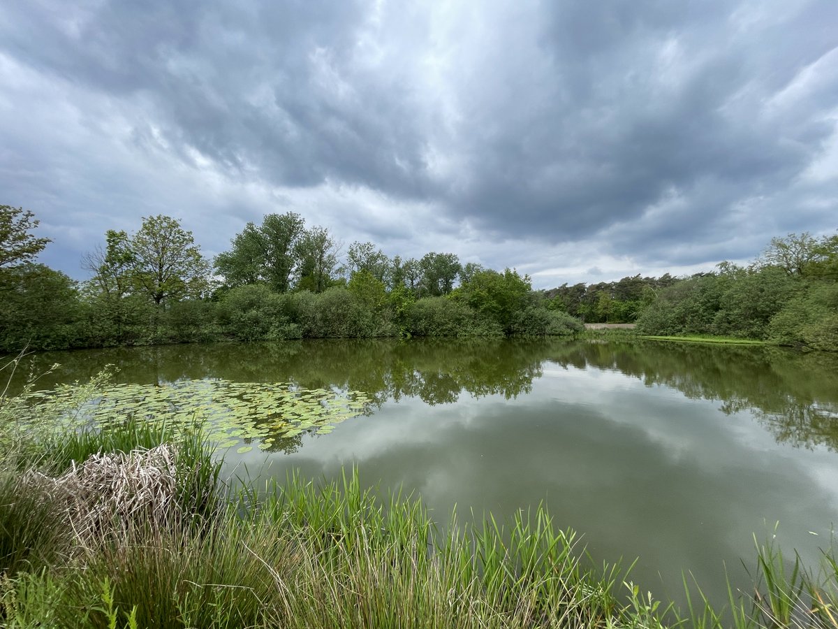 SandyHaest's tweet photo. 6 mei 13.10 Helschot #vrtweer @BuienradarBE #natuurpracht #witven https://t.co/bwq8Z05Xw9