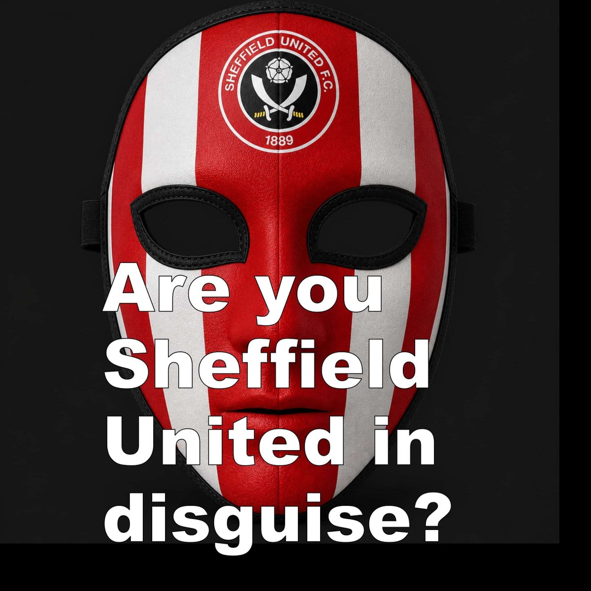 ViewFromJohnSt's tweet photo. Mid table was about right but Sheffield United were so close to making it dramatically different if they only but knew it. https://t.co/zgLHHNvx6R #sufc #twitterblades #championship https://t.co/we4tfdO79K