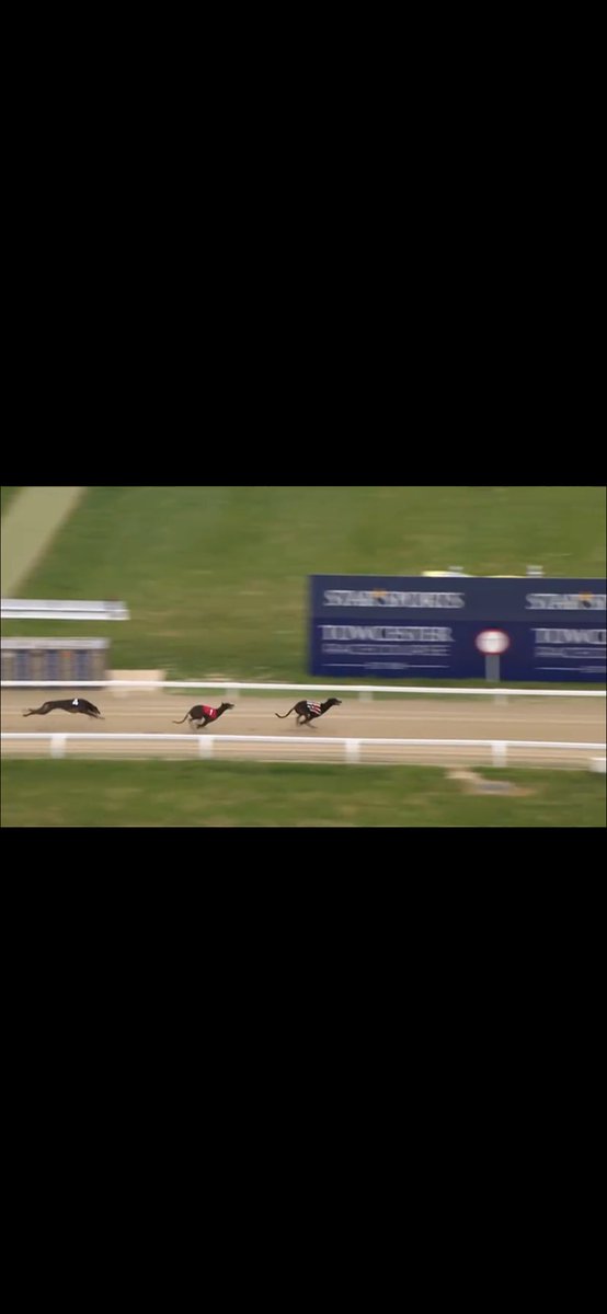 ZacWhitaker12's tweet photo. First day for a few new members and we kick off with an easy winner @ 7.0 ✅

Still 50% off for first month until Sunday! 

https://t.co/n41AK0Owux https://t.co/PI38PpbKUO