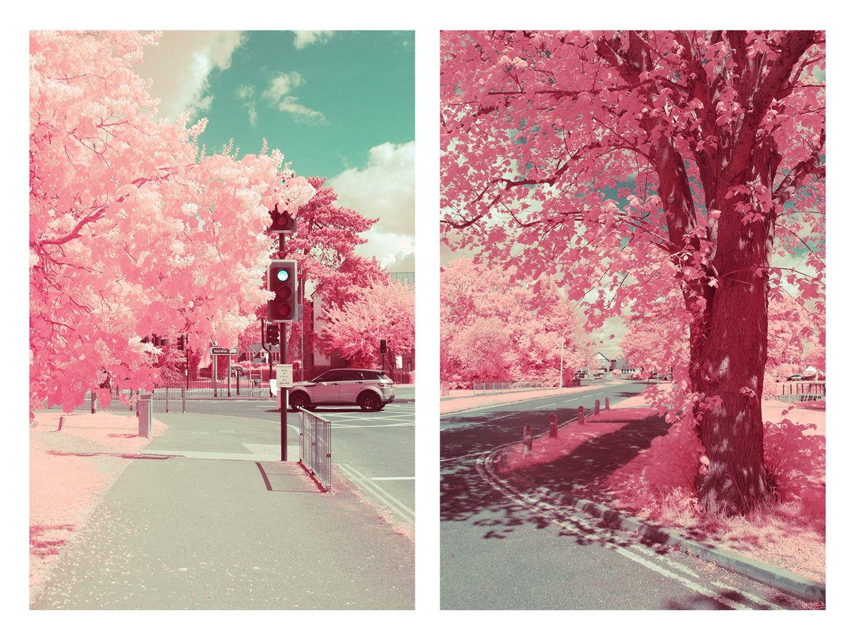 tapioka_camera's tweet photo. More Infrared Photography https://t.co/HXcDRs23Jd