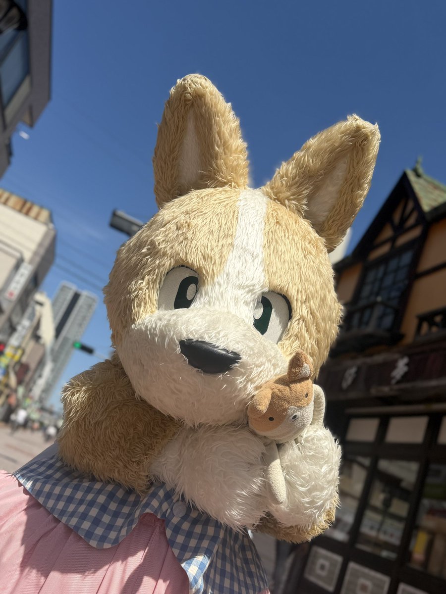 ともよん (@tomoyon39) / Posts / X