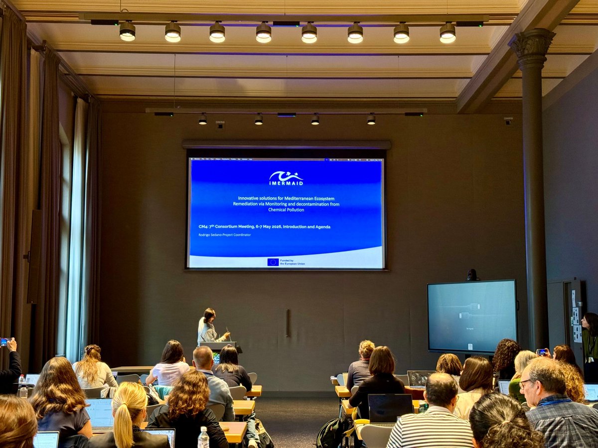 iMERMAID 🇪🇺 tweet media
