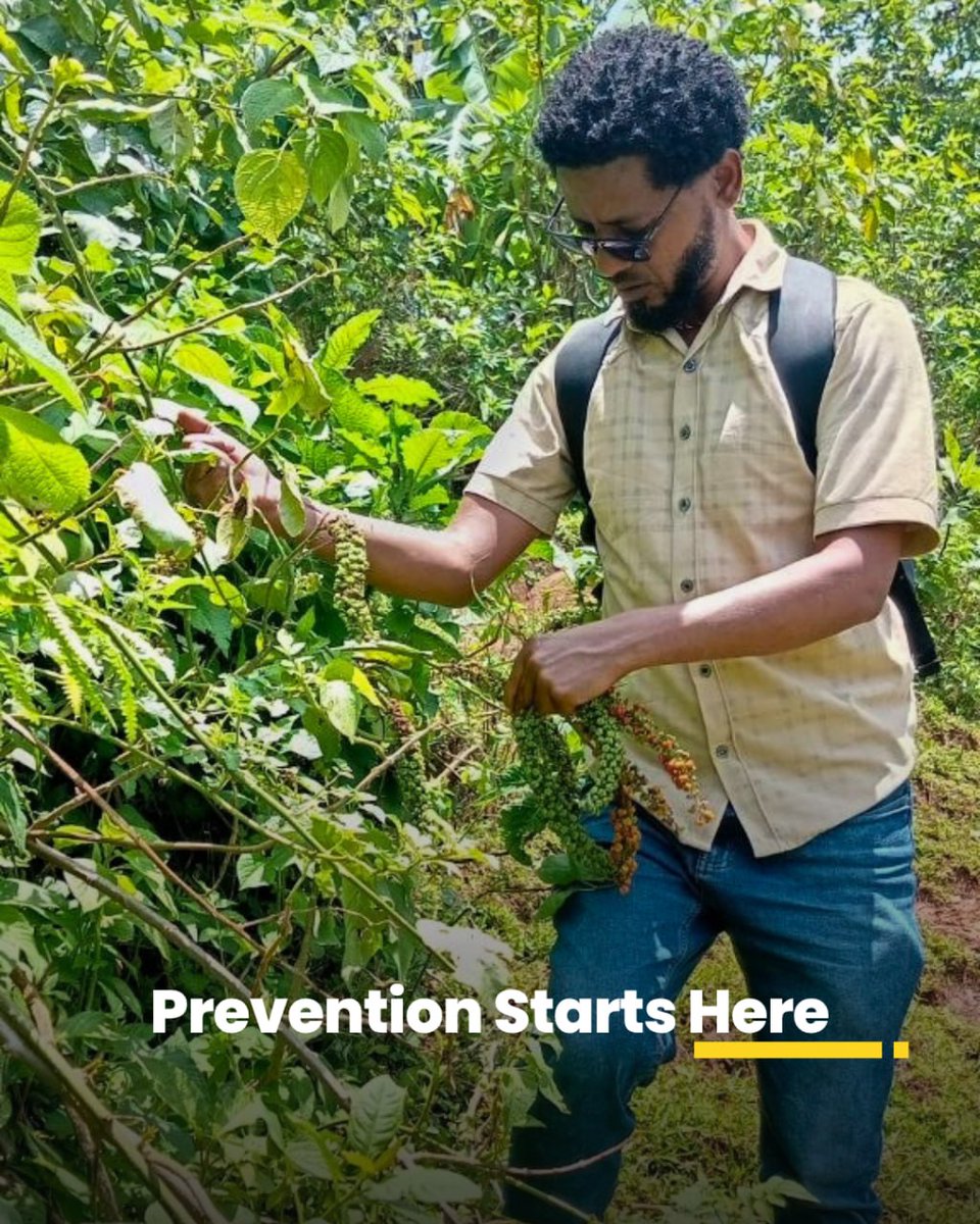 NALA_Foundation's tweet photo. Stopping schistosomiasis means stopping transmission, not just treating infection.
In #Ethiopia’s IoT districts, communities map high-risk water sites, generate field data, and drive targeted action including locally led solutions like #Endod, #prevention is becoming a system. https://t.co/2izpsYCsMU