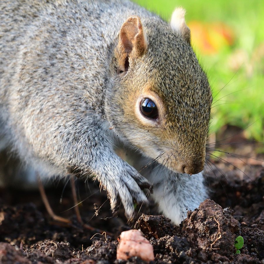 Give A Shit About Nature tweet media