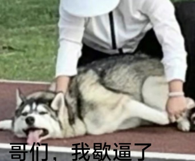 biqing365014's tweet photo. 晚上好……再也不熬白了，白天熬太久晚上上班胸口痛QWQ，送我一颗小心心，希望我能熬过这个晚上（bushi） https://t.co/2djW6k1slN