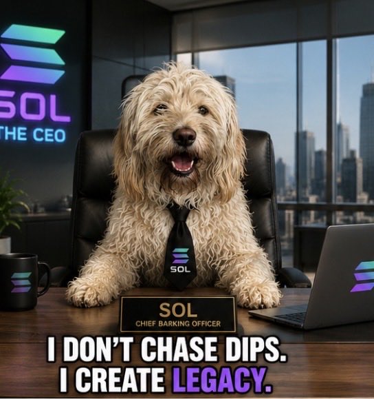 CHAOSOL tweet media