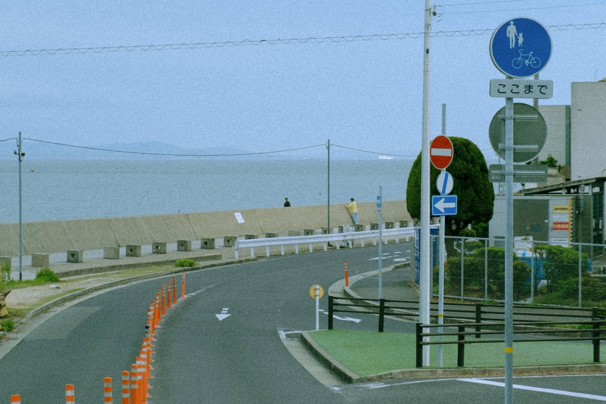 ぼんやり tweet media