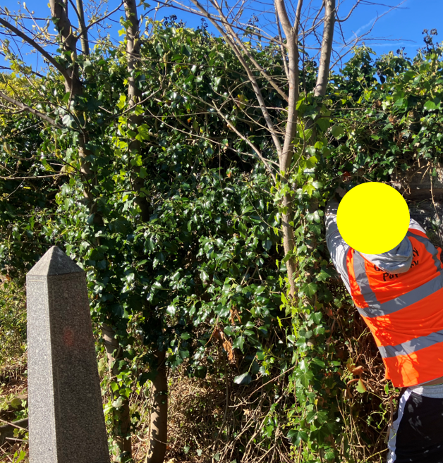 NEPS_Payback's tweet photo. An incredible achievement last week for people on Probation at North Road Cemetery in Hartlepool.

The Team removed overgrown vegetation from the gravestones, revealing some that have been hidden for a long time!

#CommunityPayback #ProbationNorthEast https://t.co/XI2xDVQSnc