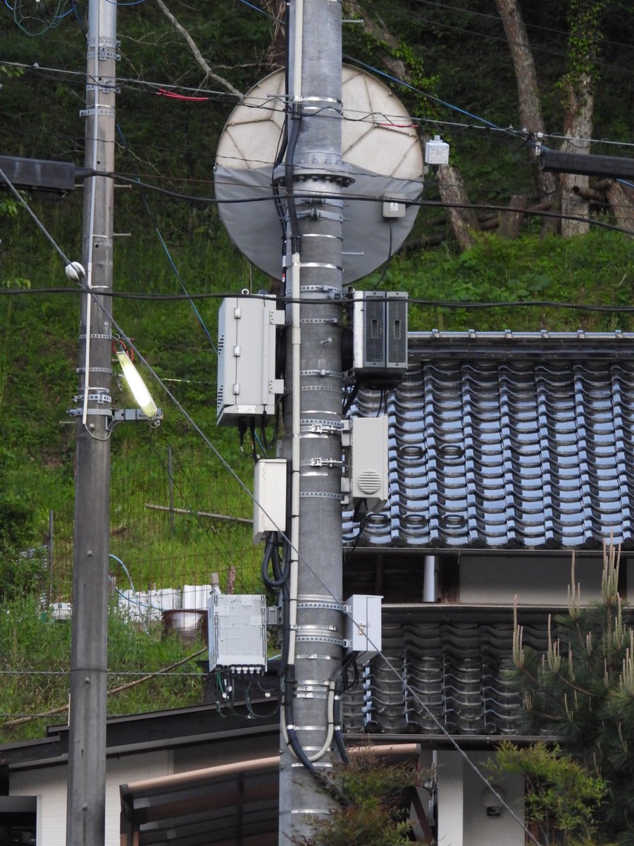 電波やくざ tweet media