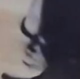 𝙞𝙢𝙗𝙡𝙪𝙪𝙗𝙖𝙚𝙡𝙚𝙚 ྀི 🍋⋆｡˚ tweet media
