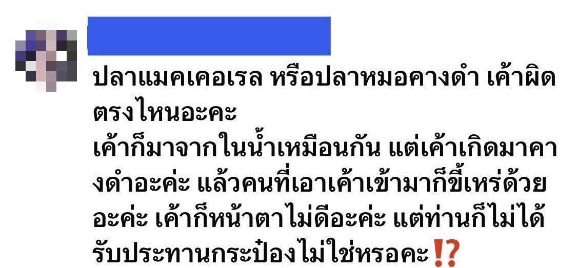 0pEL tweet media