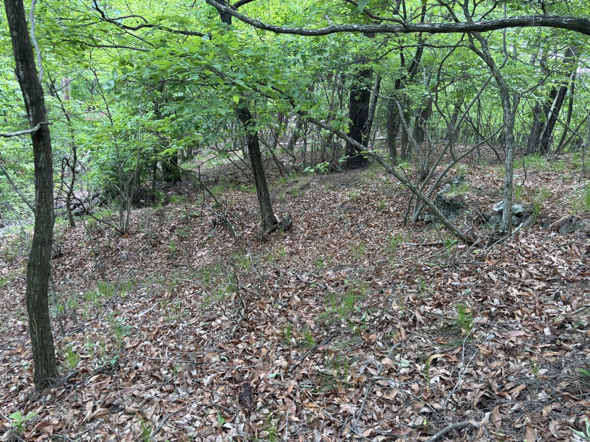 メカマツオが正常に働くために tweet media