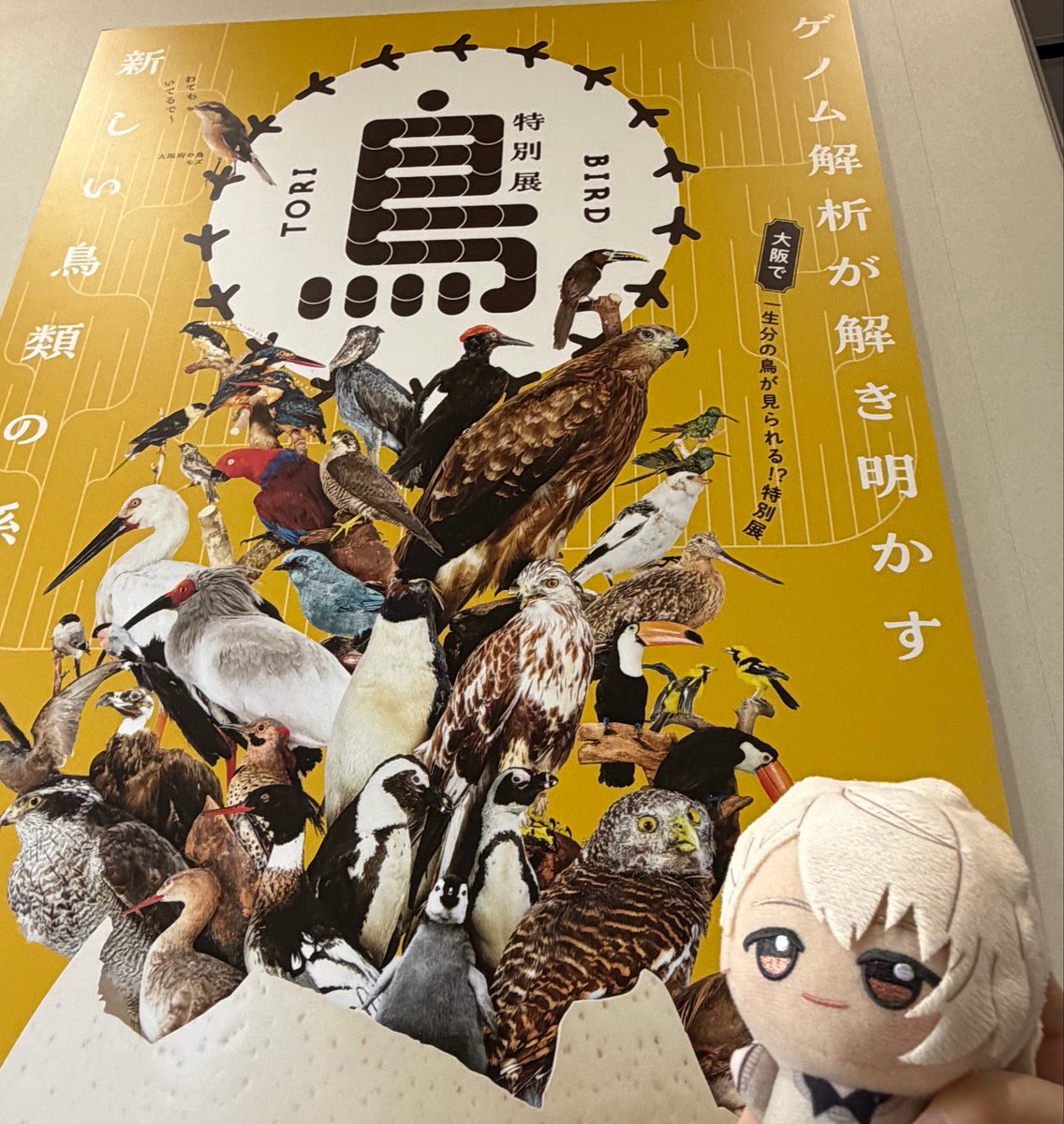 すずめ* tweet media