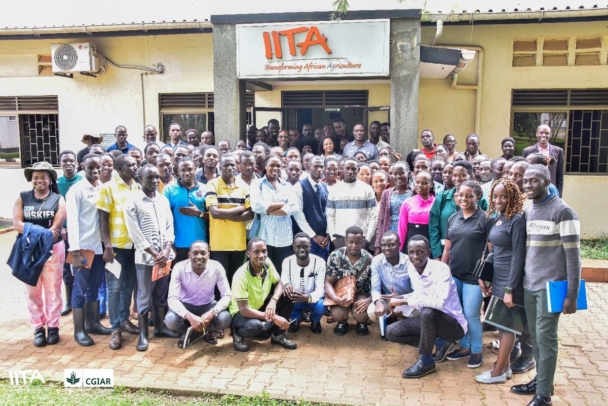 IITA_CGIAR's tweet photo. What does it take to breed a better banana? 🍌

@kyambogou University agriculture students spent a day with IITA-Uganda scientists learning the real tools behind banana improvement:

🧪 Embryo culture in the lab
🧬 DNA extraction for molecular breeding
🦠 Disease diagnostics in pathology
🌸 Hand pollination in the field
📝→📱Data management

@IITA_Uganda is training the next generation of African plant breeders. 

See the full photo story → https://t.co/3xtyG2ek8x 

#KnowledgeSharing #CapacityBuilding #PlantBreeding #IITAxUganda