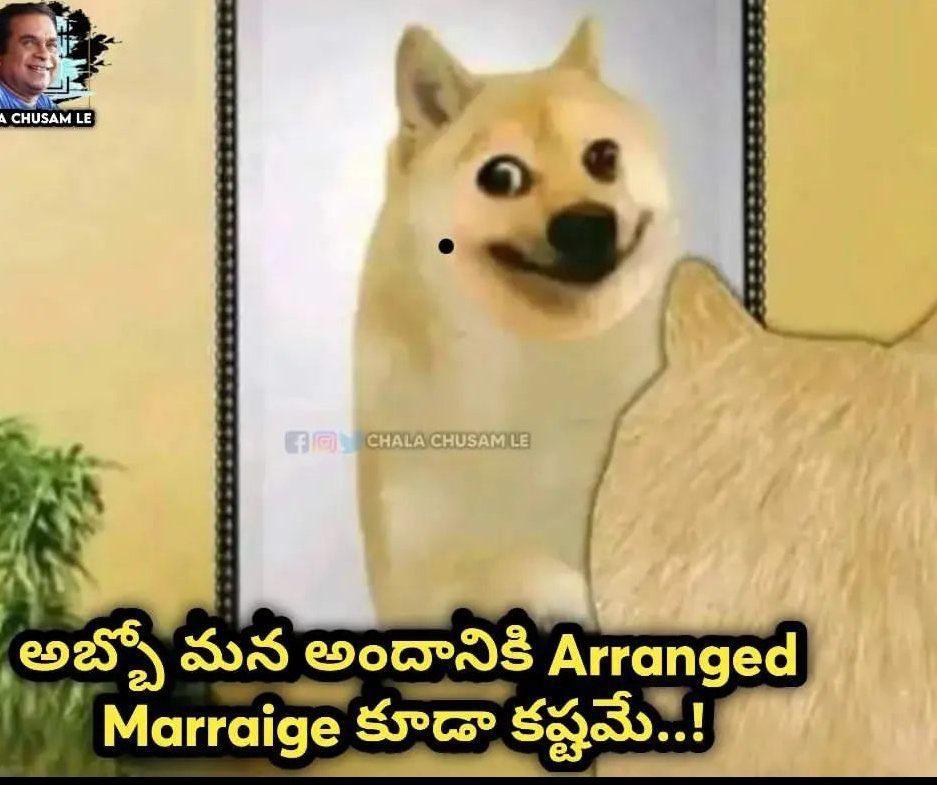 అరుణ్ tweet media