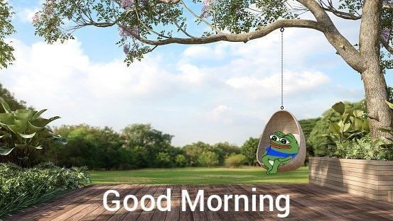 Good morning frog fam.

Stay as cheerful as $PEPO.

Have a nice day.