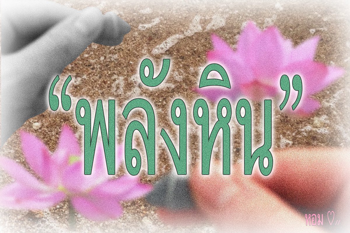 หอม ♡⸝⸝ tweet media
