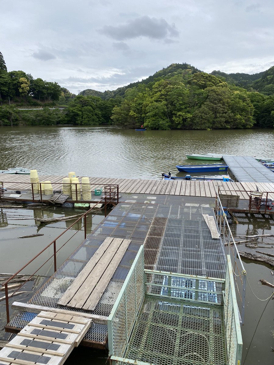 高山陽太郎 tweet media