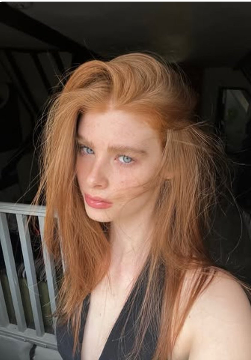 The Ginger Supremacy (@supremacyginger) on Twitter photo 