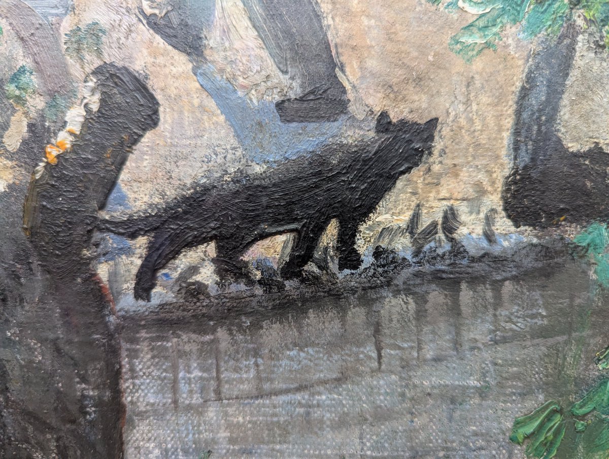 moley75's tweet photo. #catoftheday #lauraknight https://t.co/1nlKFm9uf8