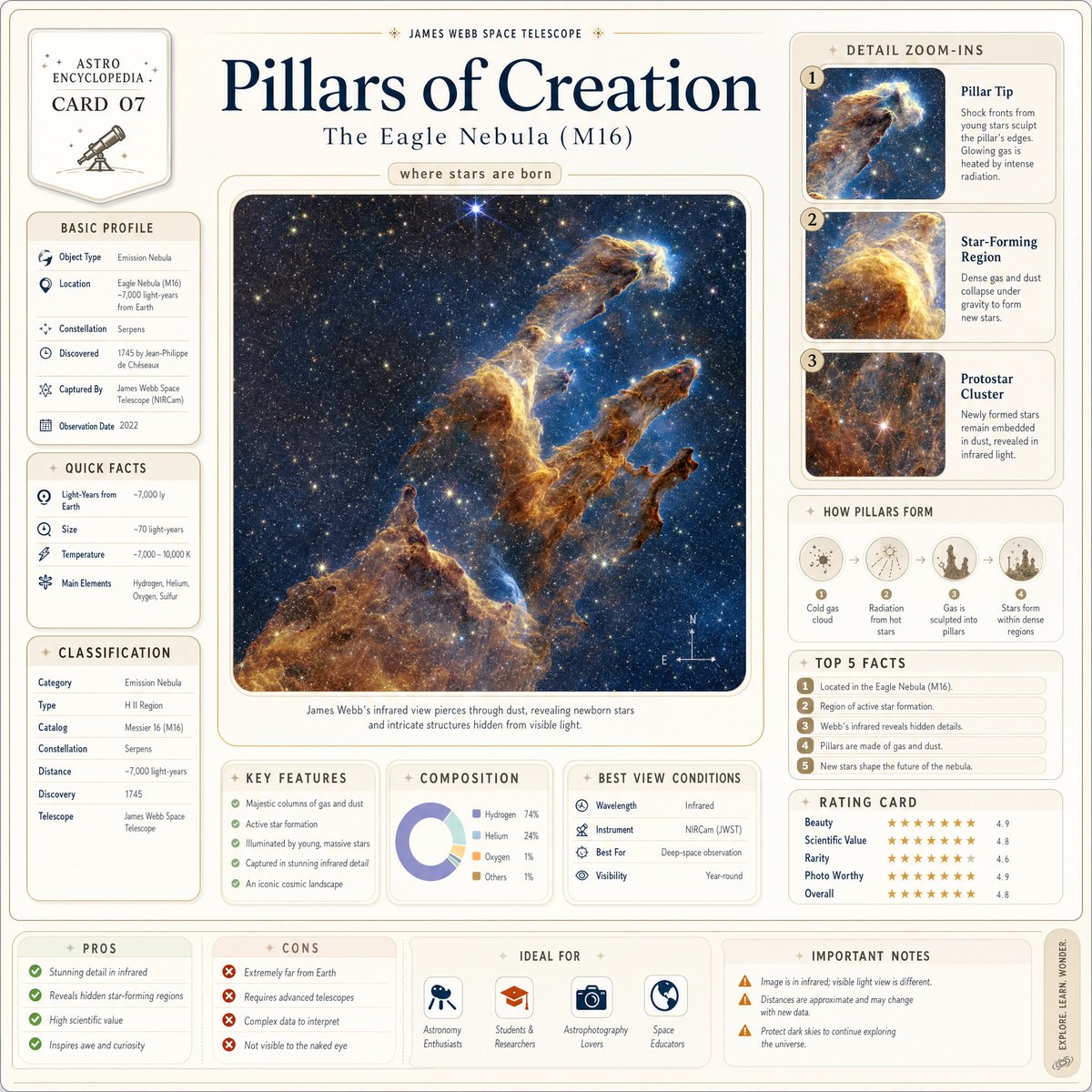 Detailed Encyclopedia Infographic: {subject_name}