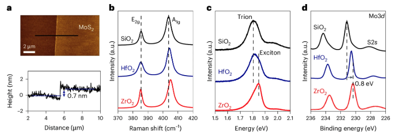 ChhowallaL's tweet photo. Check out our latest paper "A clean van der Waals interface between the high-k dielectric zirconium oxide and two-dimensional molybdenum disulfide" in Nature Electronics! @NatureElectron https://t.co/xWHwBpjARX https://t.co/lNxkONri3R
