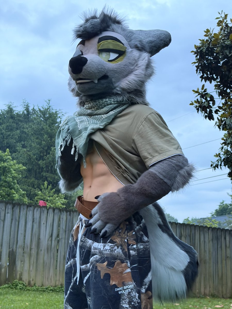 ripmossgarden's tweet photo. Got a bigger tail from @cryptic_lupine https://t.co/teyvvOkqs0