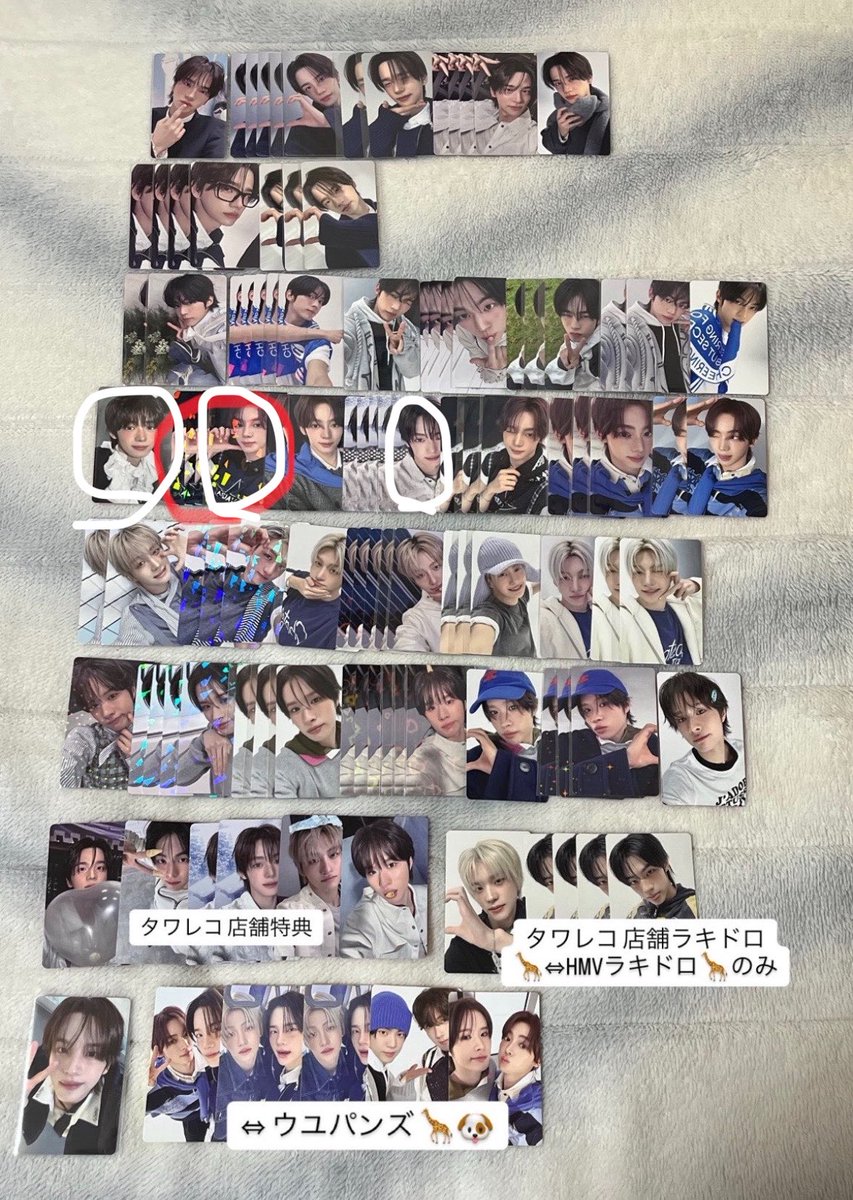 ✧* tweet media