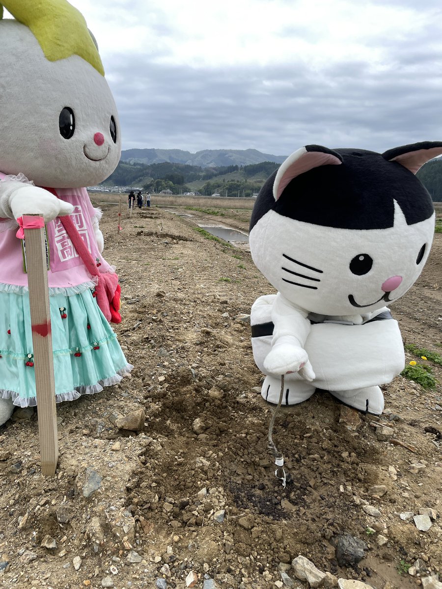 ∇・)早くナッツなれー