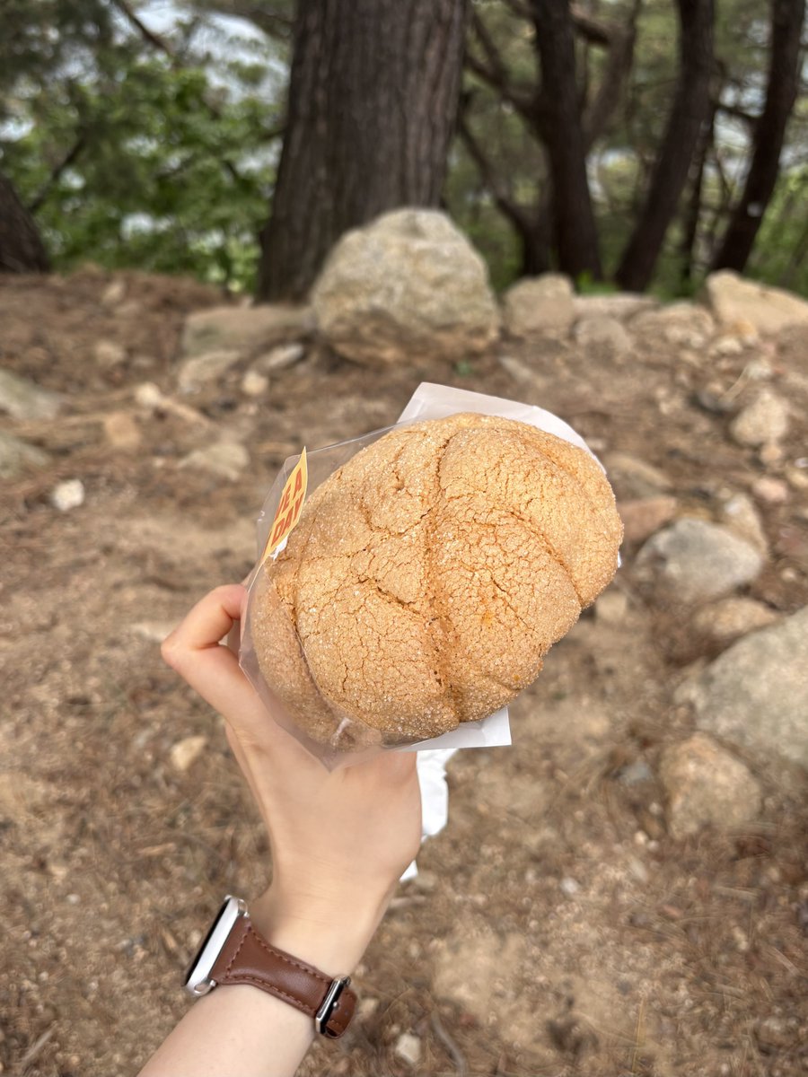 muk_archive's tweet photo. 지금 해야합니다

아차산이랑 용마산 정상 찍고 
하산해서 신토불이 떡볶이 먹기 https://t.co/IEZDhhpiO6
