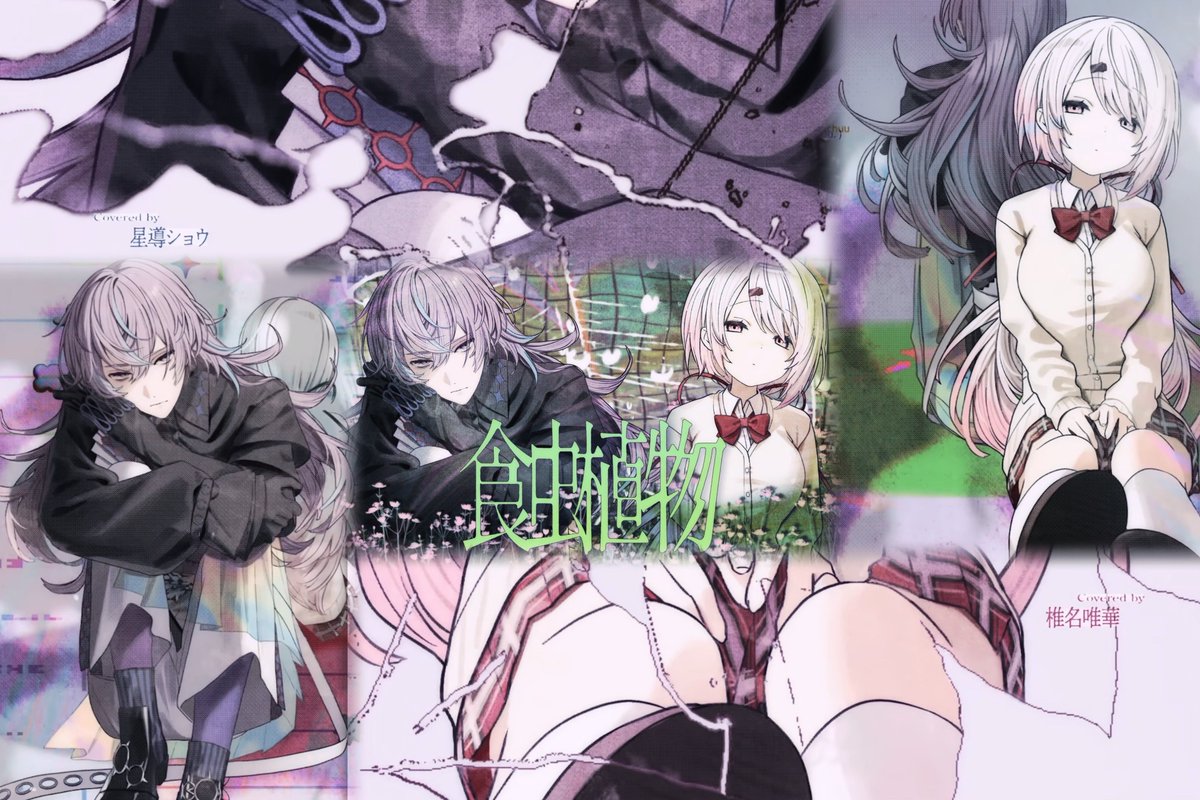 食虫植物 / covered by 椎名唯華 × 星導ショウ youtu.be/KN_Hi9y0fes?si… <a href="/YouTube/">YouTube</a>より