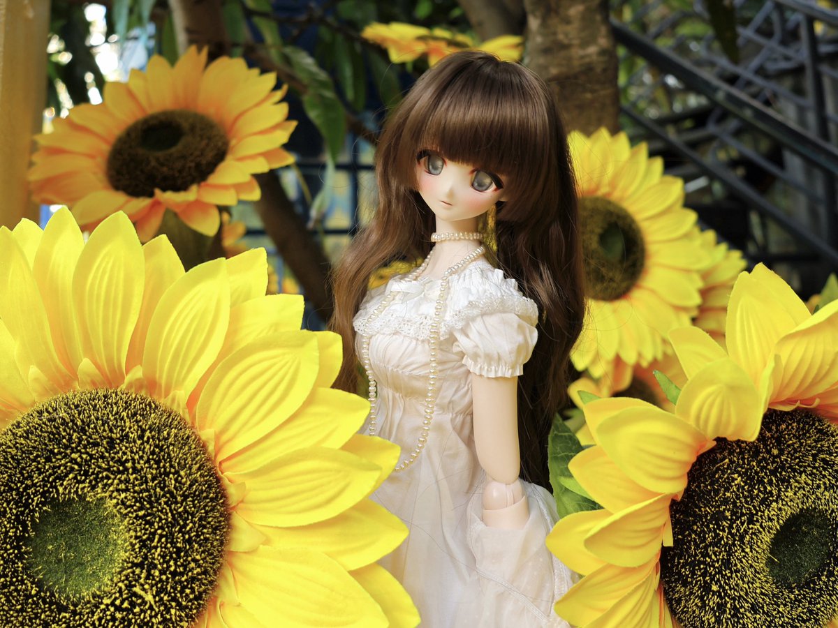 1katulip's tweet photo. 🌻

#ドルフィードリーム
#うちのこかわいい https://t.co/q6nbw2VGew