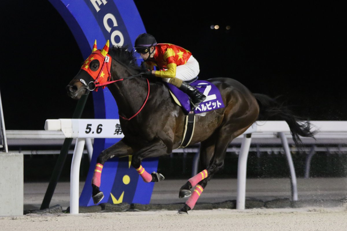 2026.5.6 門別競馬 12R コスモバルク記念 早め出て、ほぼ逃げの状態