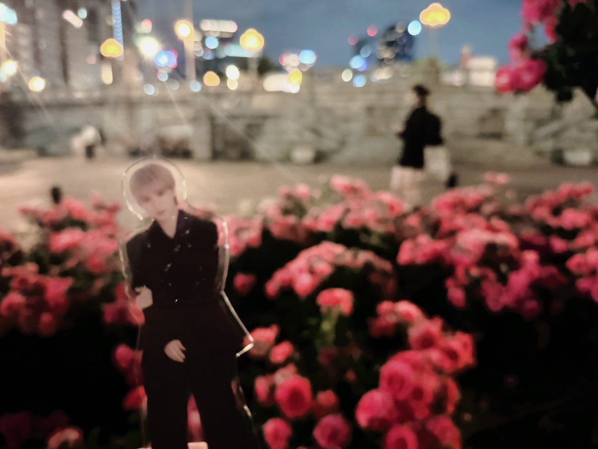 ___svnny's tweet photo. 君は僕の季語だったんだね🌹𓈒 ˖ ࣪ 𝜗𝜚 https://t.co/giilOjV70V