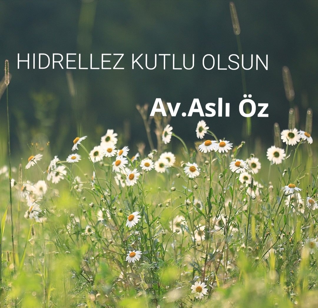 AVASLIOZ's tweet photo. Hıdrellez kutlu,bereketli olsun 🌿☘️🍀
Tüm dilekleriniz kabul olsun🪻🌸🩷⚘️ https://t.co/FWtPvDdarC