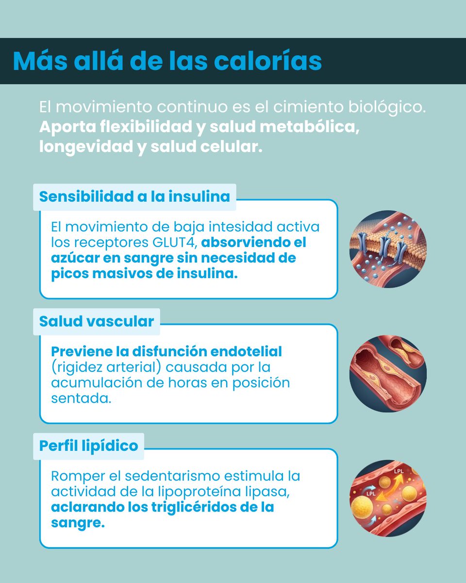 saludonnet tweet media