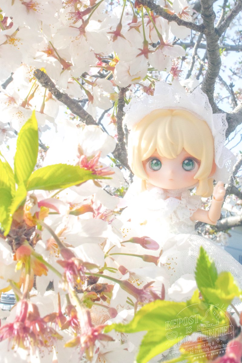 ᴍɪᴛᴏʏ-ミトイ tweet media