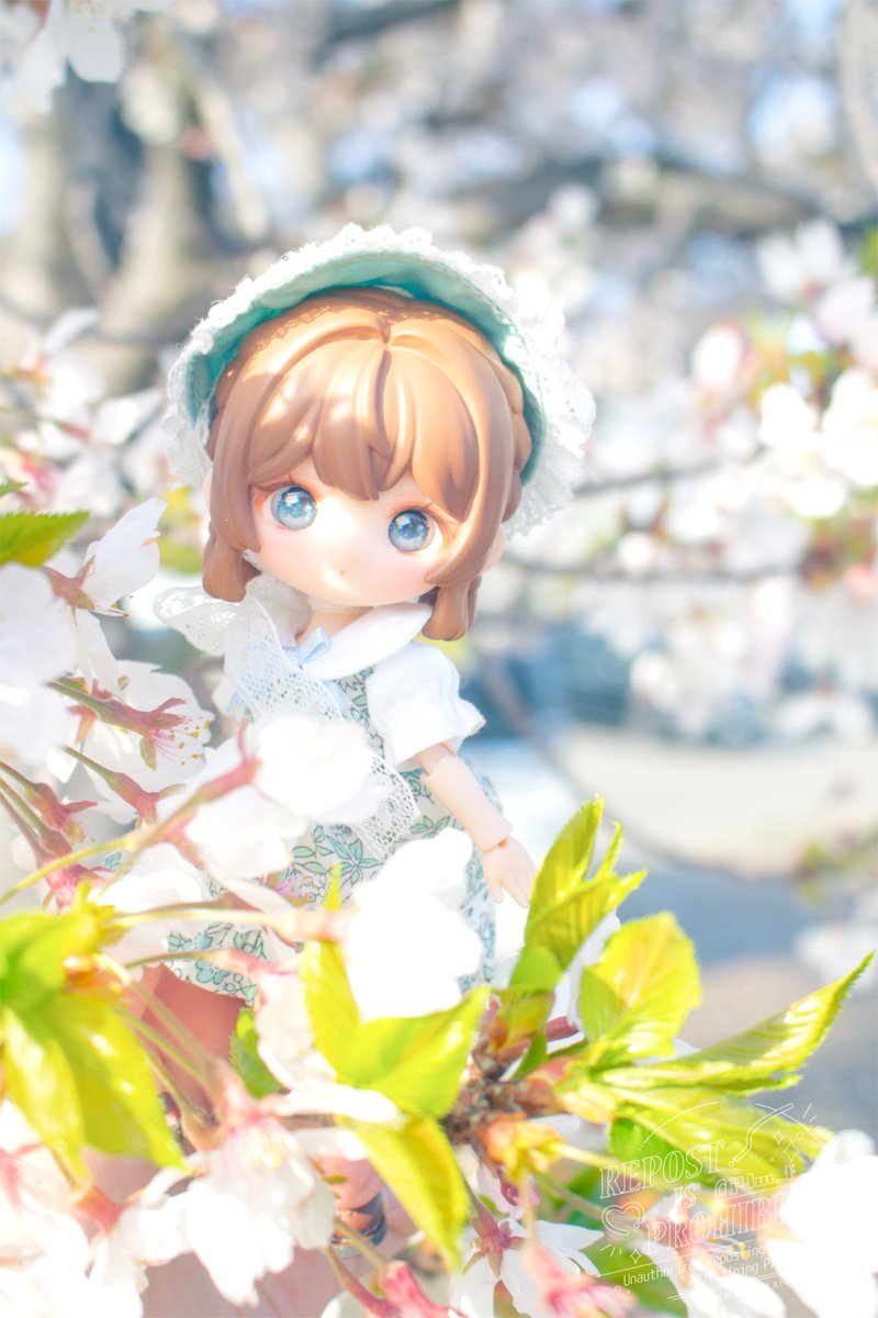 ᴍɪᴛᴏʏ-ミトイ tweet media