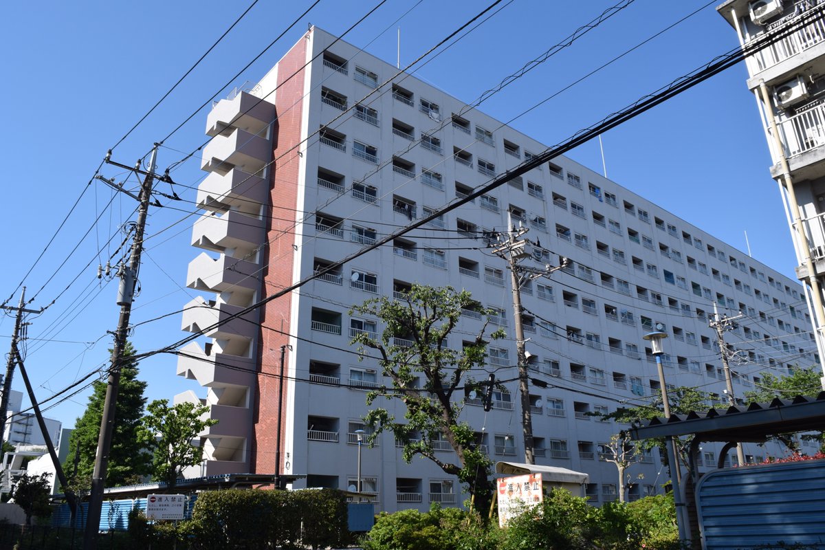 公団ウォーカー 照井啓太 tweet media